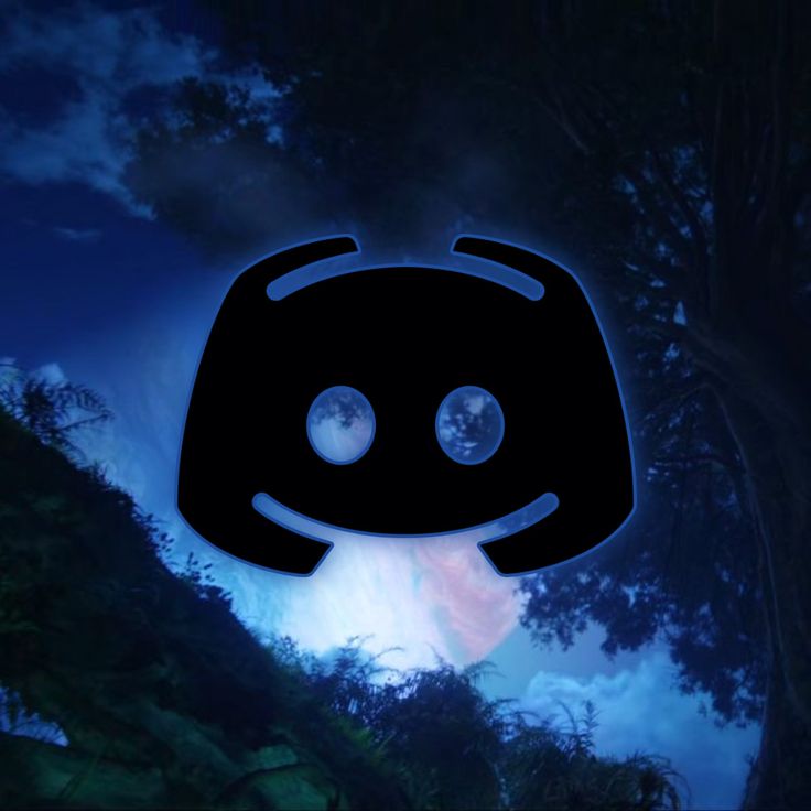 Discord Accounts